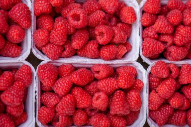 ripe raspberries lie in paper trays