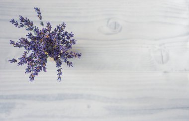 Çiçek kompozisyonu. Temiz, küçük bir demet taze mor lavanta çiçeği. Fotokopi alanı olan beyaz ahşap bir arka planda jüt iplikle bağlanmış. Minimalist fotoğraf. Bahar, yaz konsepti. Üst görünüm, modelle.