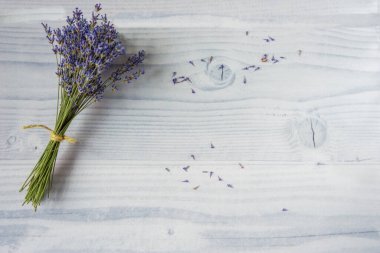 Beyaz ve kırmızı petunya çiçekleri ve beyaz kare çerçeveli turkuaz yapraklardan oluşan yaratıcı bir düzen. Kopya alanı olan bir sürü çiçek. Üst Manzara. Doğal arka plan ve duvar kağıdı. Doğa dokusu kavramı.