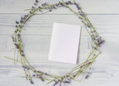 Beyaz ahşap bir masa zemininde duran taze mor lavanta çiçekleri. Ortasında boş beyaz sayfa kağıtları olan yuvarlak çerçeve şeklinde serili. Çiçek kompozisyonu. Model yap, üstten bak, düz yat.