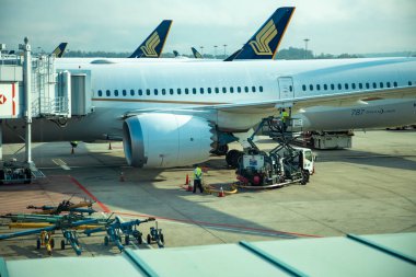 SINGAPORE - 31 Mayıs 2020: Changi havaalanındaki Signapur havayolları bakımı.