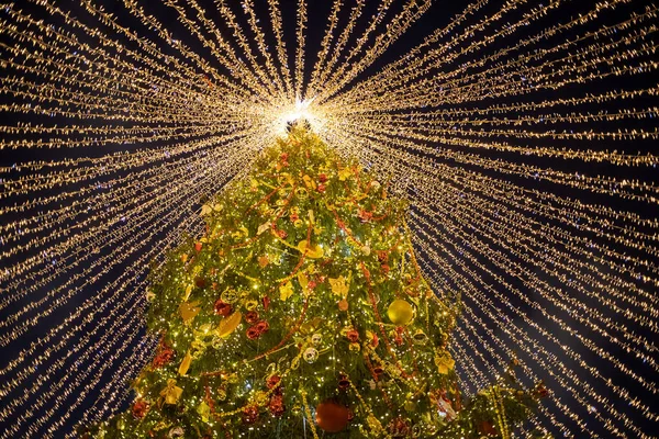 Onderaanzicht Van Een Prachtige Hoge Kerstboom Versierd Met Ballen Lichtgevende — Stockfoto