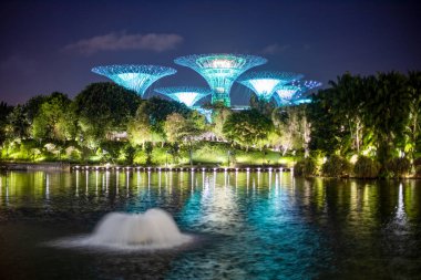 Singapur - 3 Mart 2020 körfezdeki Singapur park bahçeleri, süperağaç ve marina körfezi kumları gece ışıkları altında inşa ediliyor.