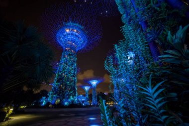 Singapur - 3 Mart 2020 körfezdeki Singapur park bahçeleri, süperağaç ve marina körfezi kumları gece ışıkları altında inşa ediliyor.
