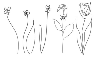 Çiçek kümesi çizilmiş tek bir vektör çizgisi. El çizimi çizimi çizimi beyaz arkaplanda izole edildi. Botanik simgeleri