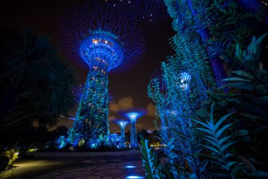 Singapur - 3 Mart 2020 körfezdeki Singapur park bahçeleri, süperağaç ve marina körfezi kumları gece ışıkları altında inşa ediliyor.