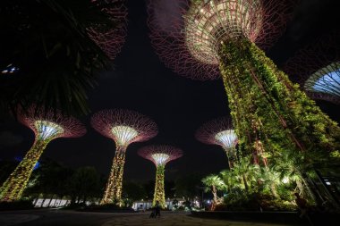 Singapur - 3 Mart 2020 körfezdeki Singapur park bahçeleri, süperağaç ve marina körfezi kumları gece ışıkları altında inşa ediliyor.