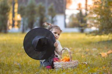 Cadılar bayramı konsepti. Tatlı çocuk sonbahar parkında bir cadının şapkasının arkasına saklanıp oynuyor.