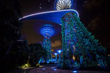 Singapur - 3 Mart 2020 körfezdeki Singapur park bahçeleri, süperağaç ve marina körfezi kumları gece ışıkları altında inşa ediliyor.
