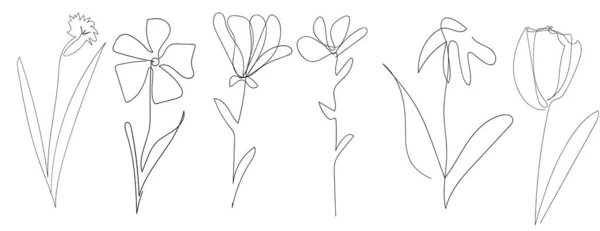 Ensemble Vecteur Simple Une Ligne Dessinée Ensemble Fleurs Dessin Main — Image vectorielle