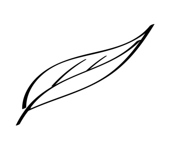 Квітка Листок Рука Намальована Кресляр Квітковий Елемент Стиль Дронтів Латинський — стоковий вектор