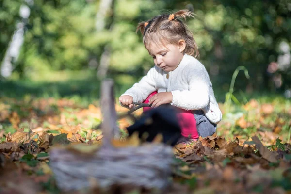 Adorable Niña Sentada Hierba Bosque Otoño Fondo Cesta Desenfoque — Foto de Stock