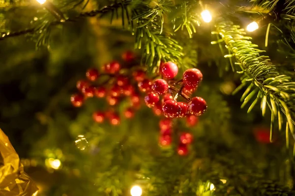 Rode bessen tak close-up decoratie sparren tak. Op de achtergrond takken van een kerst- en nieuwjaarsboom met lichtjes in wazig weer. close-up, zachte focus, — Stockfoto