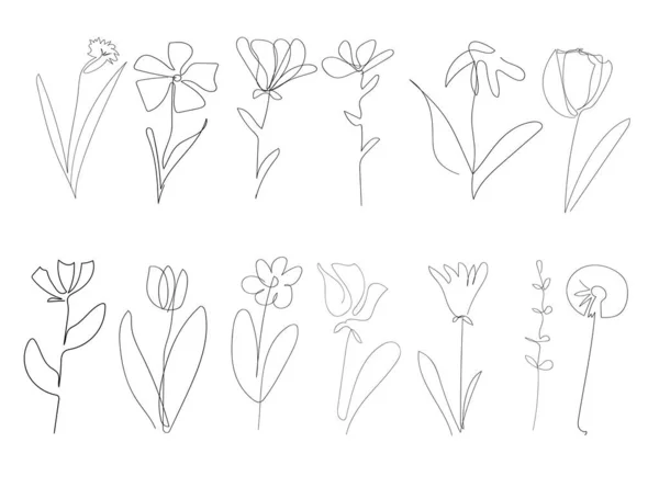 Tulipan Dibujo De Una Lineaストックベクター ロイヤリティフリーtulipan Dibujo De Una Lineaイラスト ページ 2 Depositphotos