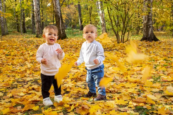 Два малыша смеются под осенними листьями. очаровательные дети в осеннем парке — стоковое фото