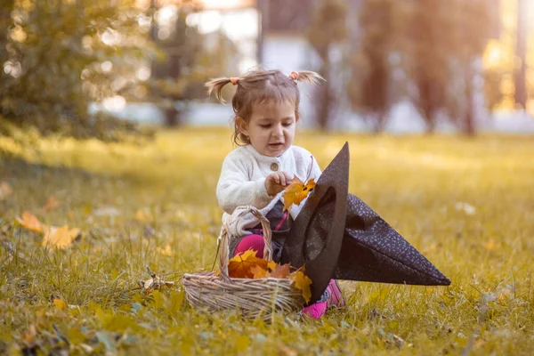 Концепция Хэллоуина Милая Маленькая Девочка Кладет Осенние Листья Шапку Ведьмы — стоковое фото