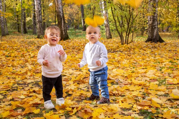 Весёлые Дети Ловят Кленовые Листья Осенью Городском Парке — стоковое фото