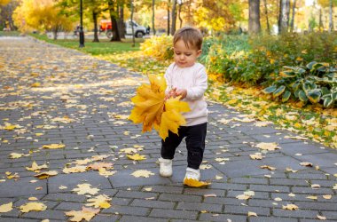 Sonbahar parkında düşen akçaağaç yapraklarıyla oynayan sevimli çocuk. Bebek annesine bir buket sarı akçaağaç yaprağı taşıyor.