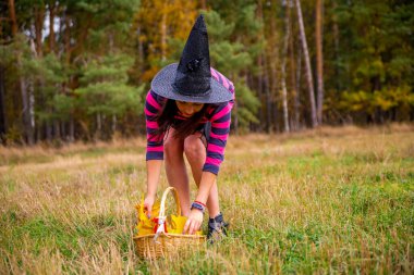 Güz ormanında balkabaklı çekici bir cadı. Cadılar Bayramı partisi konsepti
