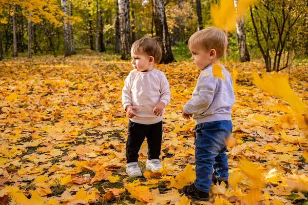 Весёлые Дети Ловят Кленовые Листья Осенью Городском Парке — стоковое фото
