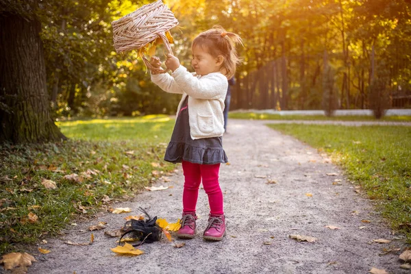 Прелестная Малышка Играющая Солнечную Осеннюю Праку Девочка Наливает Осенние Желтые — стоковое фото
