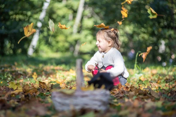 Прелестная Девочка Младенец Сидит Играет Осеннем Парке Смеется Падающих Желтых — стоковое фото