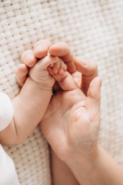 bebek, çocuk, el, yeni doğan, anne, aşk, aile, bakım, tutuş, beyaz, parmak, ebeveyn, çocuk, küçük, ayak, insan, bebek, çocukluk, küçük parmaklar, insanlar, baba, şirin, yeni, deri, masumiyet, vücut, ayak parmağı, küçük, yumuşak