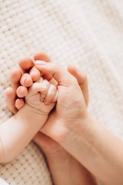 bebek, çocuk, el, yeni doğan, anne, aşk, aile, bakım, tutuş, beyaz, parmak, ebeveyn, çocuk, küçük, ayak, insan, bebek, çocukluk, küçük parmaklar, insanlar, baba, şirin, yeni, deri, masumiyet, vücut, ayak parmağı, küçük, yumuşak