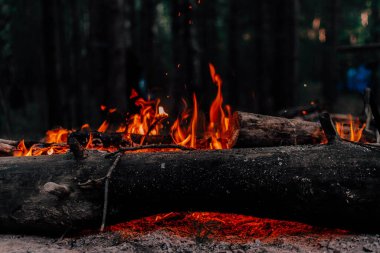 Ormanda şenlik ateşi