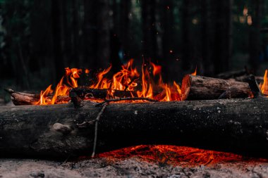 Ormanda şenlik ateşi
