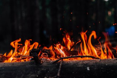 Ormanda şenlik ateşi