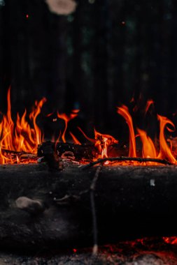 Ormanda şenlik ateşi