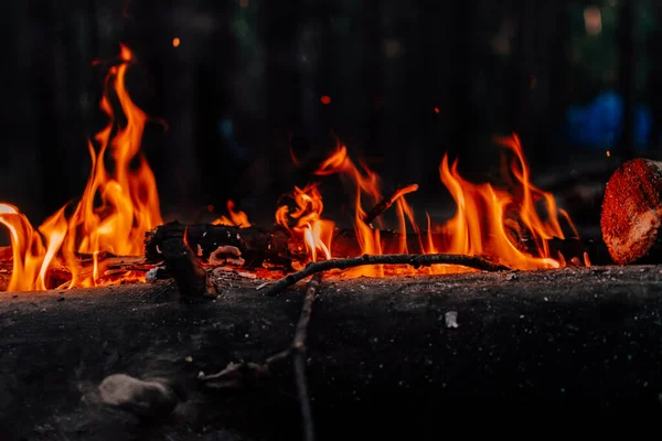 Ormanda şenlik ateşi