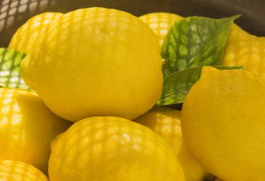 limon geç yaz güneş 