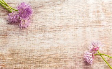 Güzel bıçak çiçekler 