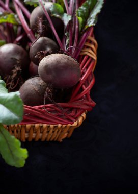 organik pancar kökü taze toplanmış sebzeler, arkaplandaki arkaplandan sağa ve dikey görüntünün tabanına uzanan yapraklar veya bahçe fotokopi alanı ile