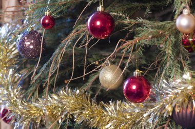 Eski, çürüyen Noel ağacı, Noel tatilinin sonunda iğnelerle çıplak dalların atılmasını bekliyor.