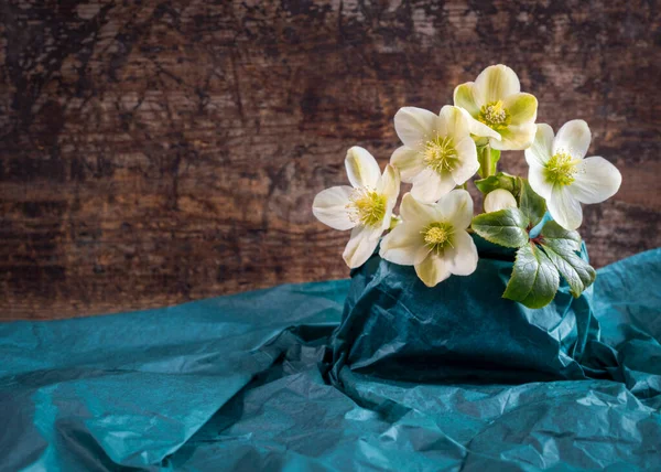 Witte Hellebore Winter Steeg Een Groep Bloemen Bos Schot Voor — Stockfoto