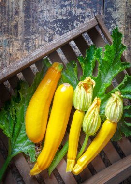 Dikey veiw organik altın kabak üzerinde taze hasat edilmiş ev bahçesinde yetişmiş küçük bir arazi veya bahçe, sığ alan fotokopi alanı 