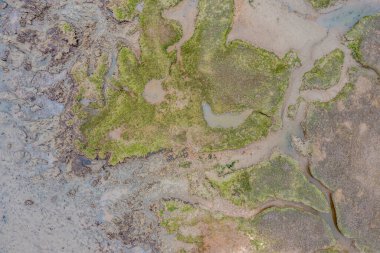 Dalgalar alçaldığında yeşil bataklıkları gösteren çamurlu düzlüklerin havadan görünüşü 