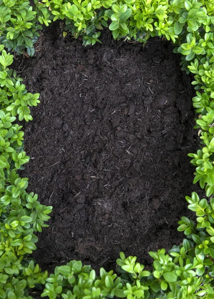 Het Hoofd Weergave Van Een Tuinieren Achtergrond Tonen Verse Compost — Stockfoto