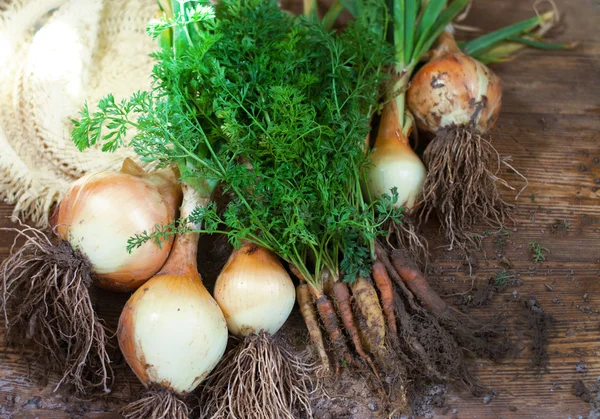 Oignons et carottes biologiques — Photo