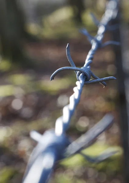 Barbed wire — Stock Photo, Image