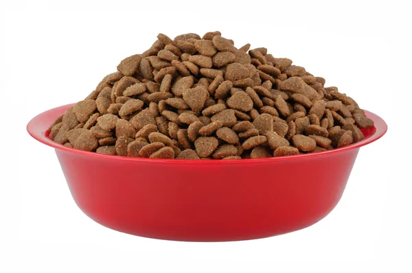 Dog food — Stock Photo, Image