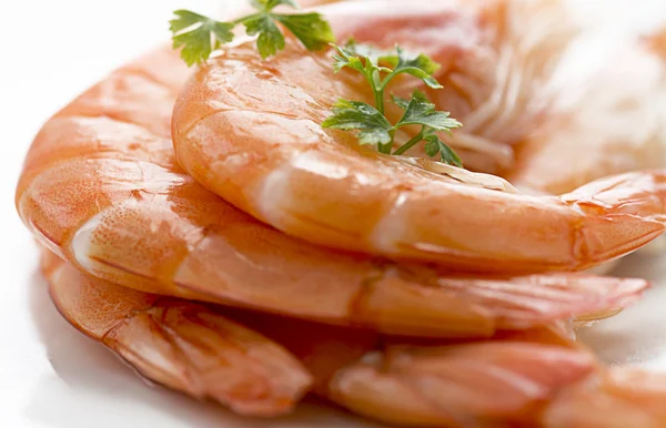 Prawns on white plate — Stock Photo, Image