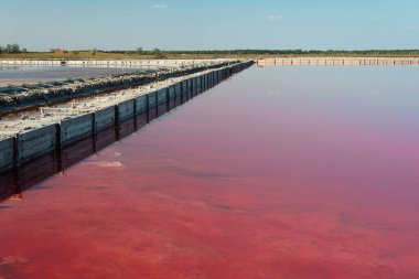 Pembe tuz gölü. Pembe tuz üretimi. Yumuşak seçici odak.