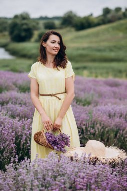 Lavanta tarlasında çiçek dolu sepetli sarı elbiseli güzel bir kadın. Yumuşak seçici odak, sanat gürültüsü