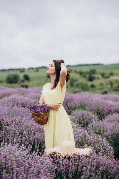 Mulher Bonita Nova Vestido Amarelo Com Uma Cesta Flores Campo — Fotografia de Stock