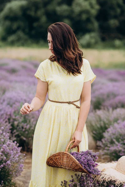 年轻美丽的女人穿着一件黄色的衣服 一篮花在薰衣草地里 软选择焦点 艺术噪音 — 图库照片