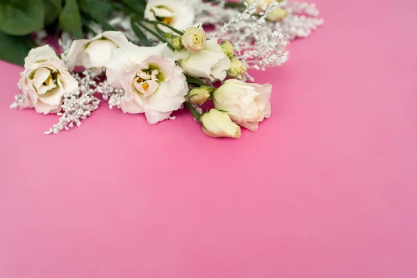 Fehér Eustoma Virágok Romantikus Rózsaszín Szerelmi Háttér Puha Szelektív Fókusz — Stock Fotó
